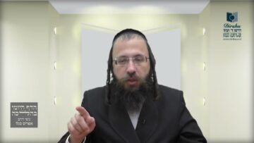 האם קוף יכול לשמש כשליח להנחת עירובי תחומין?- ת"ט ח'