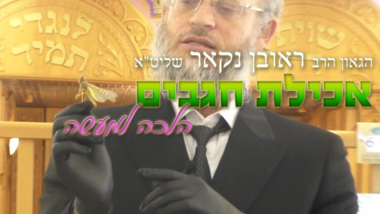 הגאון הרב ראובן נקאר שליט"א || אכילת חגבים הלכה למעשה!