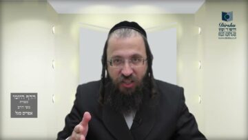הדף היומי בעברית מסכת חולין דף סח
