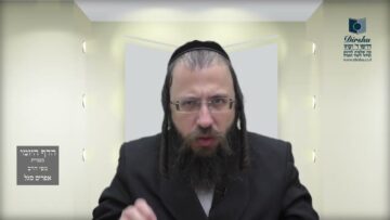 הדף היומי מסכת חולין דף פז
