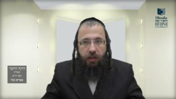 הדף היומי מסכת מנחות דף פג