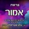 פרשת אמור