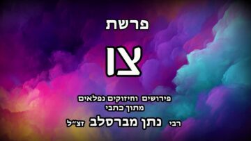 פרשת צו