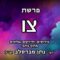 פרשת צו