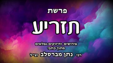 פרשת תזריע