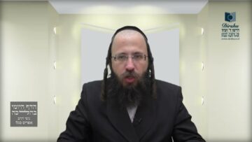 גוי שנכנס בפסח לבית היהודי וחמץ בידו- ת"מ ב'