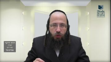 הדף היומי מסכת בכורות דף ג