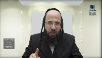 הדף היומי מסכת בכורות דף ד