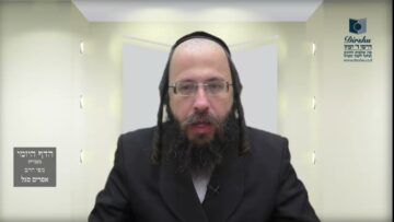 הדף היומי מסכת בכורות דף ו