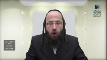 הדף היומי מסכת בכורות דף ז