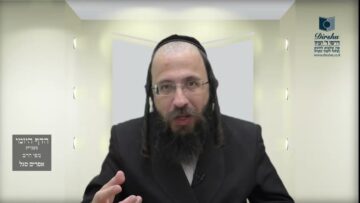הדף היומי מסכת בכורות דף טז