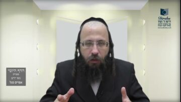 הדף היומי מסכת בכורות דף יא