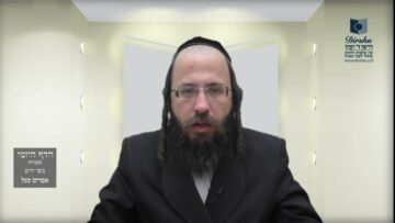 הדף היומי מסכת בכורות דף יב