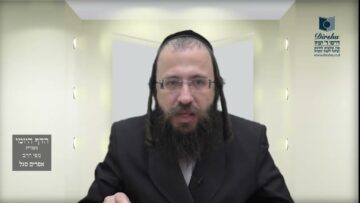 הדף היומי מסכת חולין דף קלו
