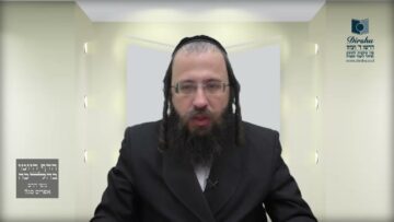 כמה אנשים יכולים לבדוק חמץ בבית אחד?- תל"ב