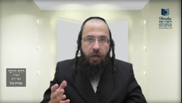 הדף היומי מסכת בכורות דף יז