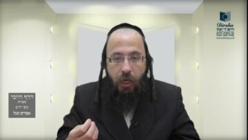 הדף היומי מסכת בכורות דף יח