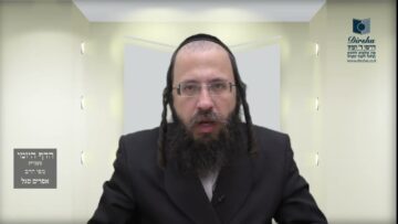 הדף היומי מסכת בכורות דף כ