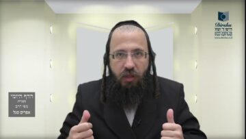 הדף היומי מסכת בכורות דף כא