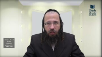הדף היומי מסכת בכורות דף כג