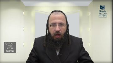 הדף היומי מסכת בכורות דף כד