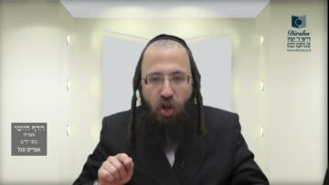 הדף היומי מסכת בכורות דף כו