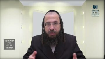 הדף היומי מסכת בכורות דף כז