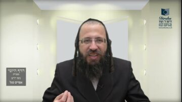 הדף היומי מסכת בכורות דף כח