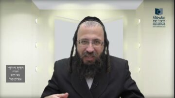 הדף היומי מסכת בכורות דף לג