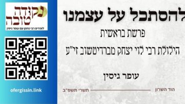 להסתכל על עצמנו | פרשת בראשית | הילולת רבי לוי