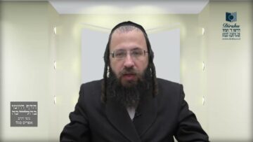 מה עושים כשמוצאים חמץ בחג הפסח ?- תמ"ה ג' תמ"ו